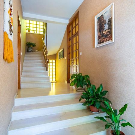 Apartments Villa Ivka 杜布罗夫尼克 外观 照片