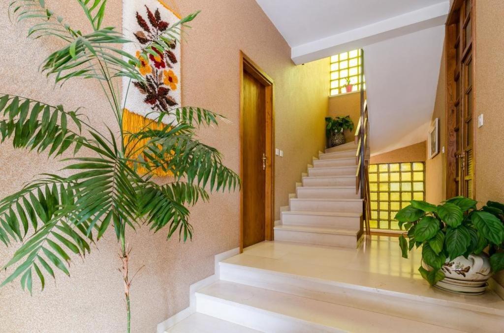 Apartments Villa Ivka 杜布罗夫尼克 外观 照片
