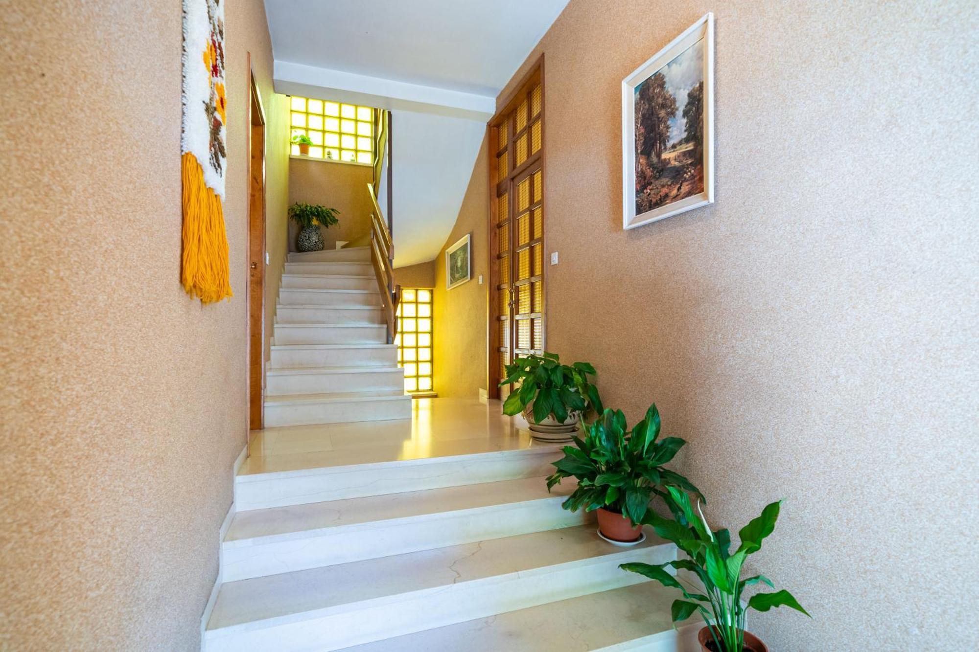 Apartments Villa Ivka 杜布罗夫尼克 外观 照片